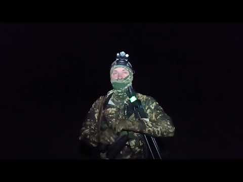 Видео: ОХОТА  ЛОСЯ НА ВАБУ, НА СТОН , НА РЕВУ .ЭТО ТРЭШ. #охотаналося#охотаналосянавабу#охота#лоси#hunting