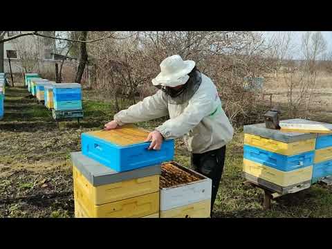 Видео: Первые работы на Пасеке.Контроль Кормов.Проверка на Расплод.