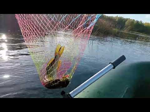 Видео: ВОЛНУШКА СКНЯТИНО ХОРОШАЯ ЩУКА