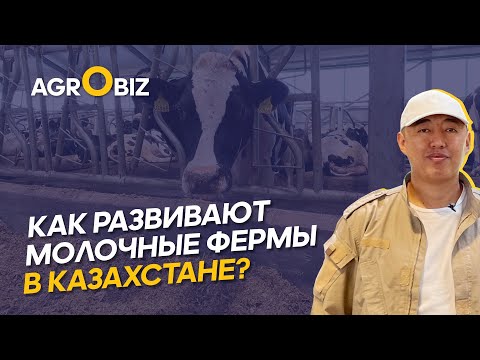 Видео: Как заработать на молоке и построить успешную ферму? ТОО Рулиха