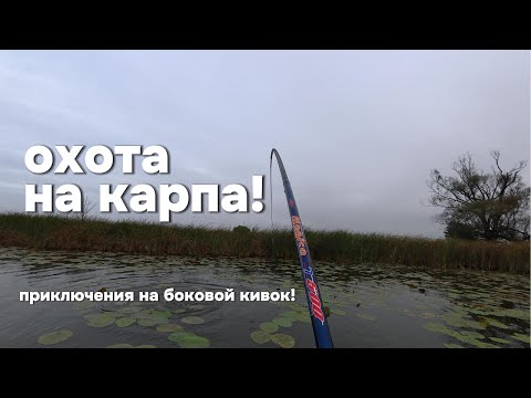 Видео: ПРИКЛЮЧЕНИЯ НА БОКОВОЙ КИВОК | ОХОТА НА КАРПА