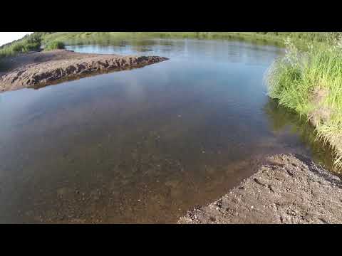 Видео: Орловский район, 2ч. Вид с Чудиново, не удавшийся брод через р.Великую