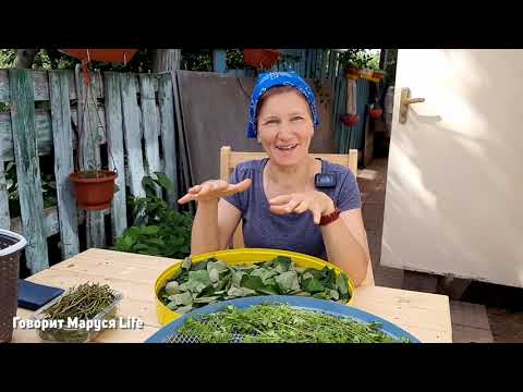 Видео: Я В ШОКЕ! 😲 ВСЕ РВАНУЛО! 17.07.22