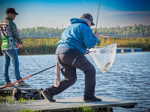 Видео: Турнир любителей по ловле форели в "Рыбалка в Коваши".