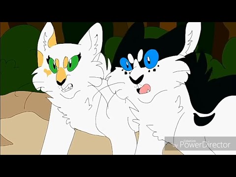 Видео: Яролика и Быстролап: Одиночество.