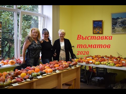 Видео: ВЫСТАВКА ЛУЧШИХ СОРТОВ  ТОМАТОВ 2020. Рига. ЛАТВИЯ.