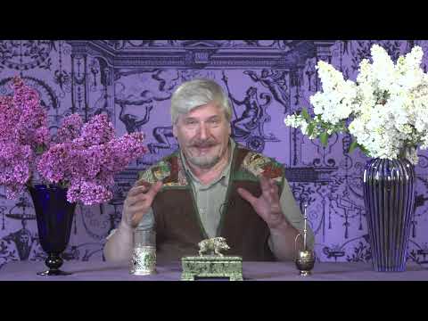 Видео: Цифровой спаситель. С.В. Савельев. "Пироги Мухи"