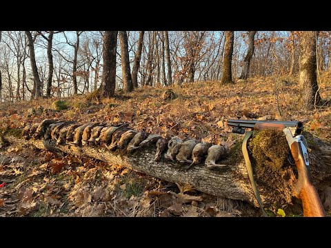 Видео: Woodcock hunting with ShotKam/ Лов на бекас с ShotKam сезон 23/24