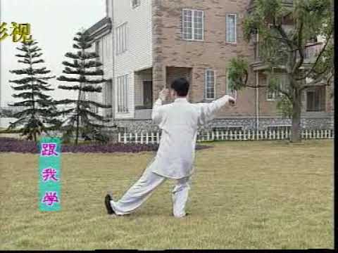 Видео: 10-14 формы медленно со спины из Тайцзи 24 формы TaiChi The 24 Forms (10-14) Slow Back View. 3.3/4.