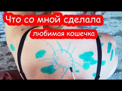 Видео: VLOG Кто у нас в гостях