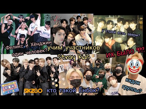 Видео: Учим участников STRAY KIDS/как различать Феликса и Хёнджина/факты и тест/озвучка