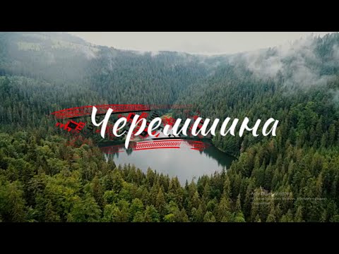 Видео: Черемшина - cover, співає Галина Линник