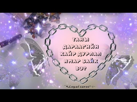 Видео: 💕✨🪷⭐️ Таны дараагийн хайр дурлал ямар байх вэ? Шинэ харилцаан дээр анхаарах зүйлс ⭐️✨💕🪷