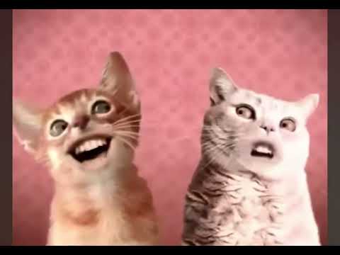 Видео: 25 октября 2025 г.