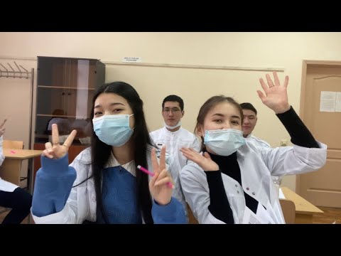 Видео: Универдегі алғашқы апта🏛 МУА 1 курс