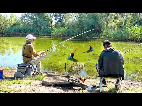 Видео: РЫБАЛКА на КАРАСЯ в ЖАРУ +40° 🔥 НА ЧТО КАРАСЬ КЛЮЁТ ЛУЧШЕ: ЧЕРВЬ или ОПАРЫШЬ !?