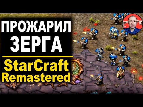 Видео: 🔥 ПОДЖАРИЛ КОСМИЧЕСКИХ ЖУКОВ - StarCraft Brood War - Remastered