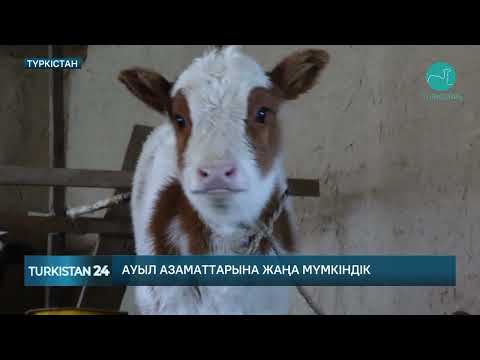 Видео: "Ауыл аманаты" қалай жүзеге асуда?