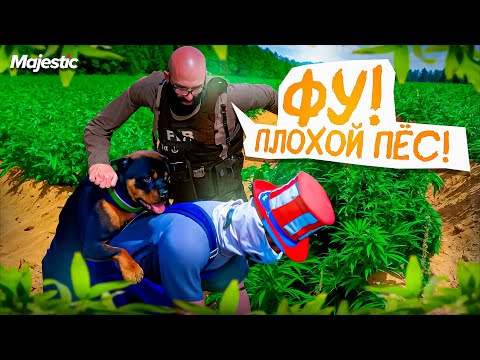 Видео: ПАТРУЛЬНЫЙ ПЁС АТАКУЕТ ФЕРМУ и ПРОВЕРЯЕТ РП на GTA 5 MAJESTIC RP!