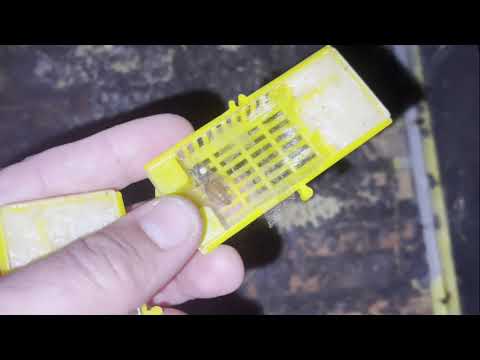 Видео: Подсадка маток на открытый и закрытый расплод в семью в течении пару дней