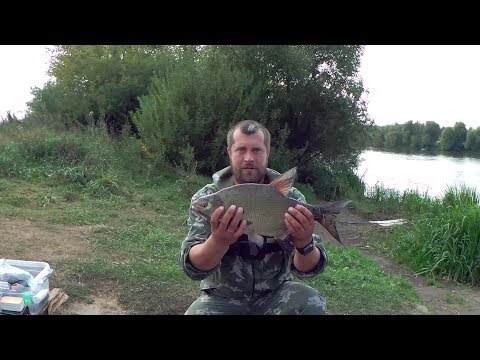 Видео: рыбалка в сентябре. ЛОВИМ ЛЕЩА НА САЛО!!!!