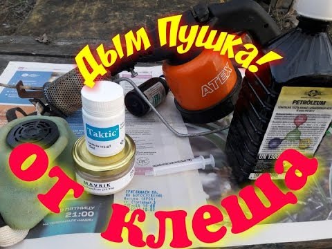 Видео: ЛЕТКИ . ДЫМ ПУШКА. КЛЕЩ ВАРРОА.  Я В ШОКЕ!!!