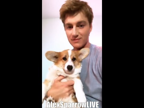 Видео: Алексей Воробьев: Концерт и ответы на вопросы в Прямом эфире из LA 28.03.2020