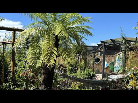Видео: Преображение тропического сада 🌴🇬🇧