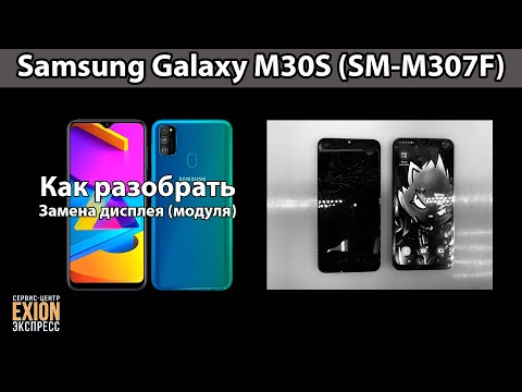 Видео: Samsung Galaxy M30S (SM-M307F) - ЗАМЕНА ДИСПЛЕЯ