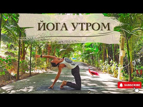 Видео: ЙОГА УТРОМ. Короткий пробуждающий комплекс для всего тела. 12 минут.