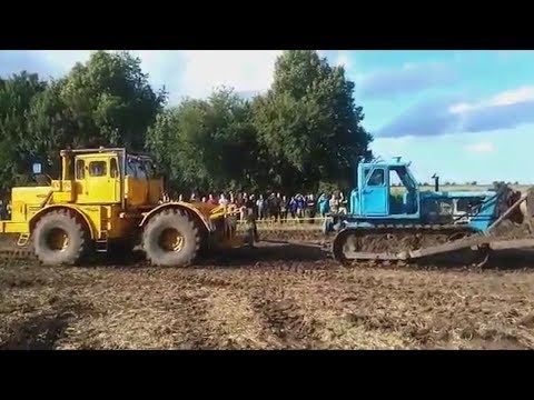 Видео: КИРОВЕЦ К700 ПРОТИВ ВСЕХ!!! КТО КОГО ПЕРЕТЯНЕТ?