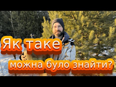 Видео: Як можна таке знайти? Тепер є де тримати вино