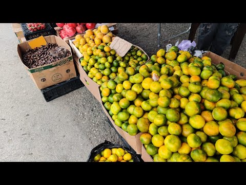 Видео: Абхазия .Гагра,19 октября 2025.Территория отеля Амза .Рынок
