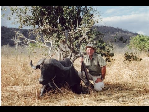 Видео: Охота в Африке, соболя и буйволов