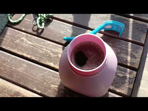 Видео: #93# Подготовка, обрезка и обработка пеларгоний, фуксий и калибрахоа к зиме Томаты в октябре