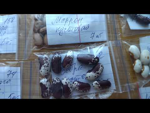 Видео: Какую фасоль я буду выращивать в 2022 году. Часть 2