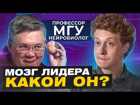 Видео: Вячеслав Дубынин: как работает наш мозг, нейробиология, смена власти у обезьян