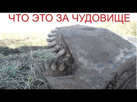 Видео: Что это???!!!,Отрыл монстра из земли