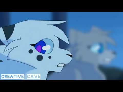 Видео: Коты воители:Белогривка и Остролап-Эхо