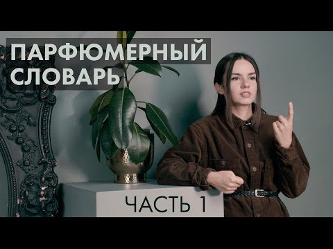 Видео: Парфюмерный словарь: часть 1