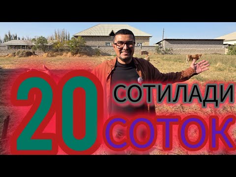 Видео: АРЗОН 20-СОТОК ЕР УЙ-ЖОЙИДАН КЕСИБ ЭГАСИДАН СОТИЛАДИ.