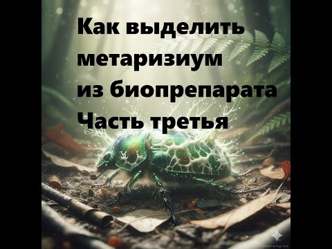 Видео: Выделение метаризиума из препаратов, если конечно он там есть. Часть 3