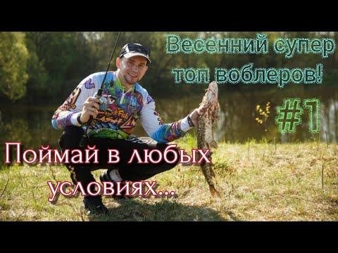 Видео: ВЕСЕННИЙ СУПЕР ТОП ВОБЛЕРОВ | SPRO FISHING | KOSADAKA HOST