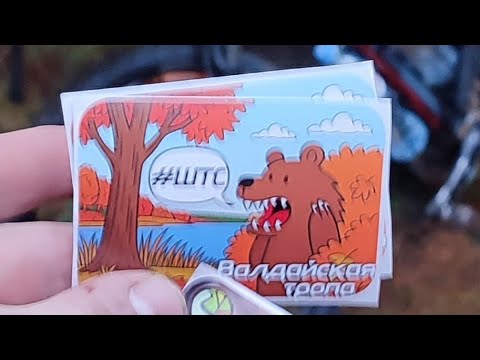 Видео: ШТС Валдайская тропа ноябрь 2025