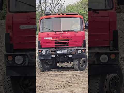 Видео: 10 ноября 2025 г.