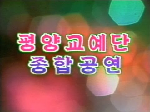 Видео: Pyongyang Circus Show / Цирк КНДР 3 (2009)