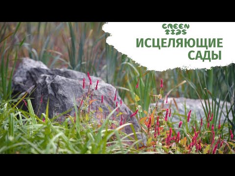 Видео: Исцеляющие сады