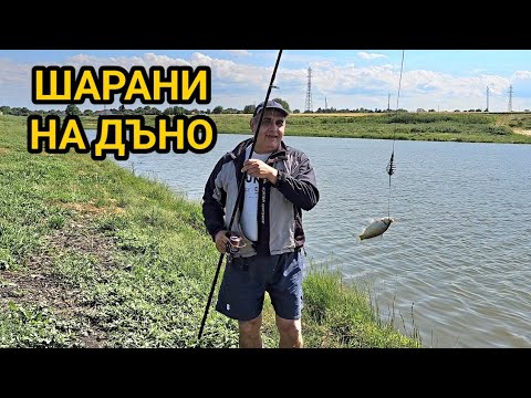 Видео: Шаран, Бял Амур и таранка на язовир Плачи дол! Риболов с нови модерни въдици на дъно!