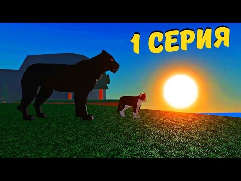 Видео: История Котёнка 1 серия в Animal Simulator/Roblox