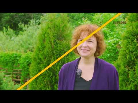 Видео: Садовый советник // Это вырастил я! Сезон 2